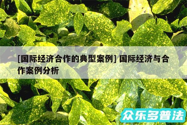 及国际经济合作的典型案例 国际经济与合作案例分析