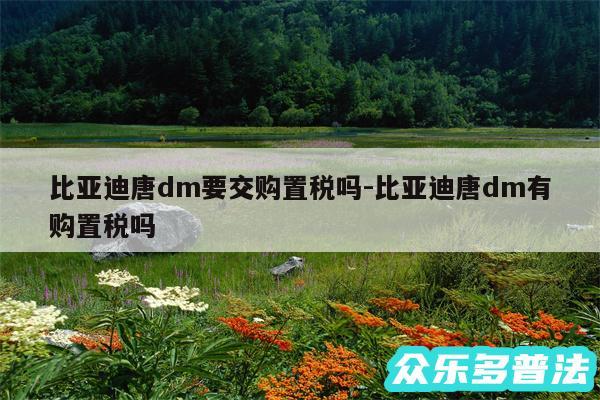 比亚迪唐dm要交购置税吗-比亚迪唐dm有购置税吗