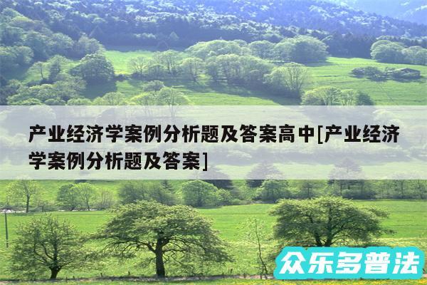 产业经济学案例分析题及答案高中及产业经济学案例分析题及答案