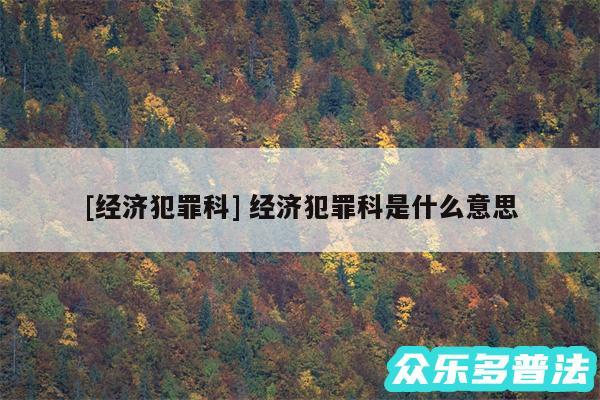 及经济犯罪科 经济犯罪科是什么意思