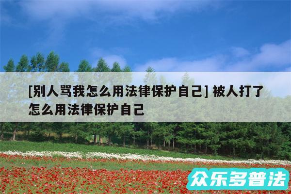 及别人骂我怎么用法律保护自己 被人打了怎么用法律保护自己