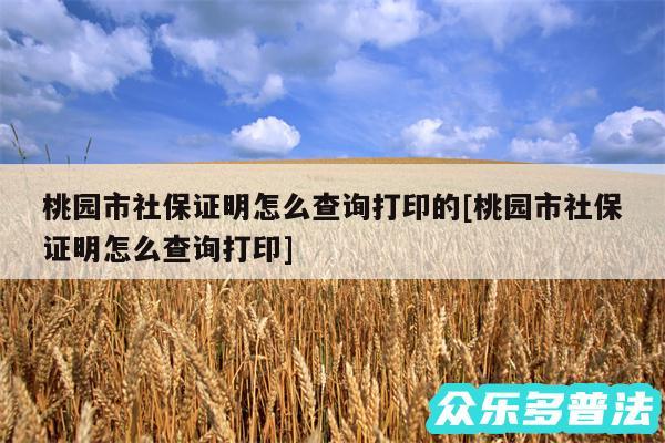 桃园市社保证明怎么查询打印的及桃园市社保证明怎么查询打印