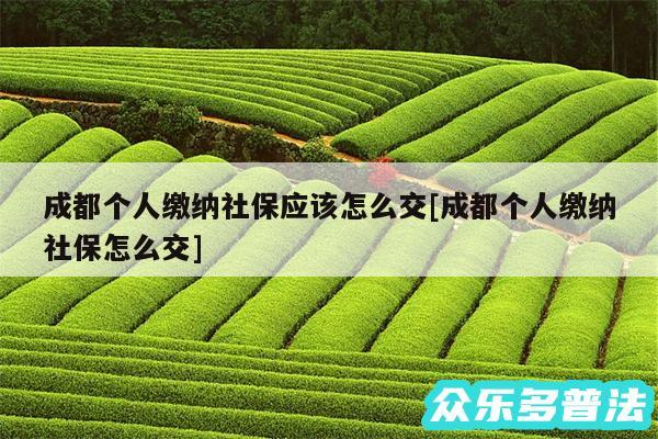 成都个人缴纳社保应该怎么交及成都个人缴纳社保怎么交