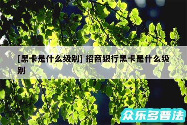 及黑卡是什么级别 招商银行黑卡是什么级别