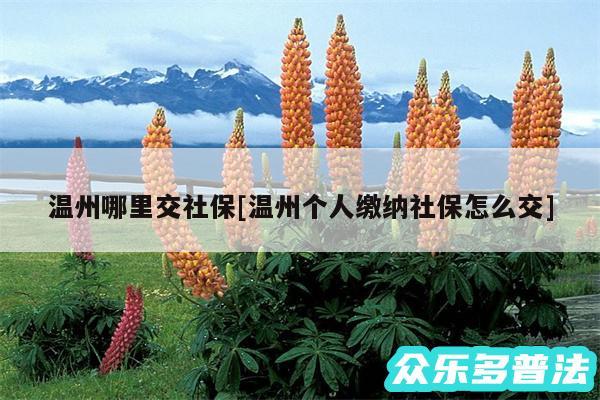 温州哪里交社保及温州个人缴纳社保怎么交