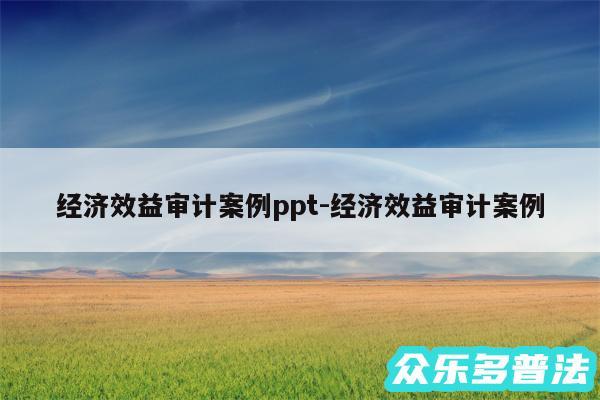 经济效益审计案例ppt-经济效益审计案例