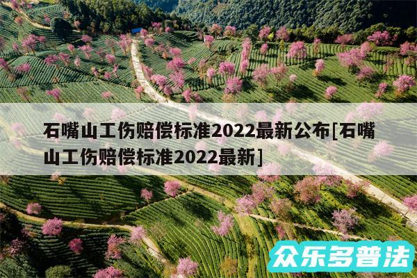 石嘴山工伤赔偿标准2024最新公布及石嘴山工伤赔偿标准2024最新