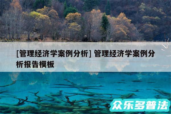 及管理经济学案例分析 管理经济学案例分析报告模板