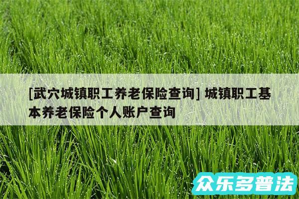 及武穴城镇职工养老保险查询 城镇职工基本养老保险个人账户查询