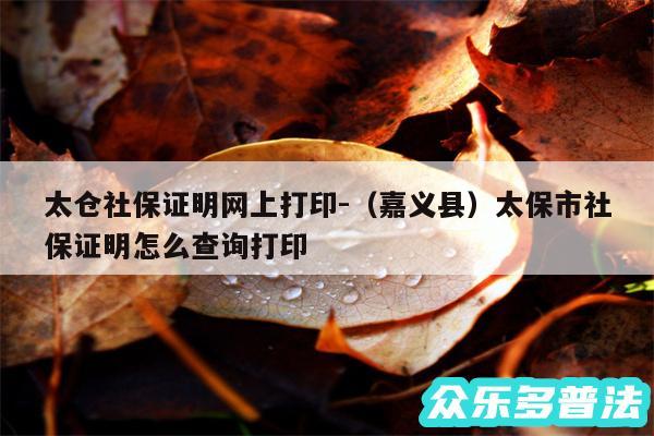 太仓社保证明网上打印-以及嘉义县太保市社保证明怎么查询打印