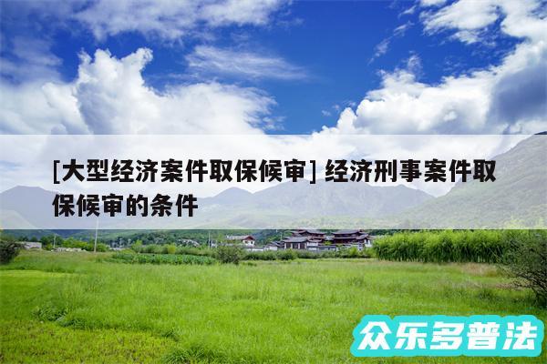 及大型经济案件取保候审 经济刑事案件取保候审的条件