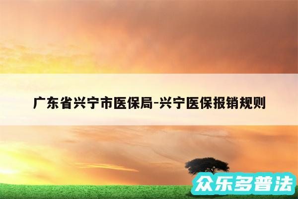 广东省兴宁市医保局-兴宁医保报销规则