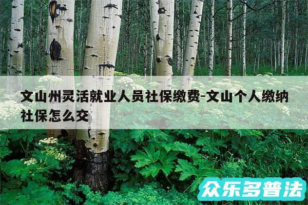 文山州灵活就业人员社保缴费-文山个人缴纳社保怎么交