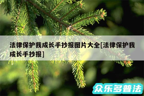 法律保护我成长手抄报图片大全及法律保护我成长手抄报