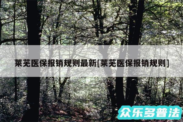莱芜医保报销规则最新及莱芜医保报销规则