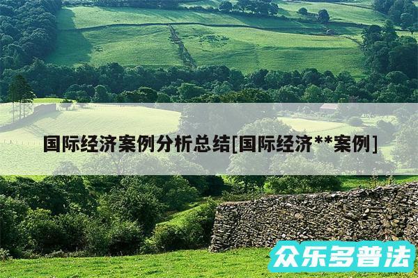 国际经济案例分析总结及国际经济**案例