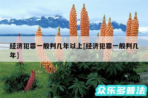 经济犯罪一般判几年以上及经济犯罪一般判几年