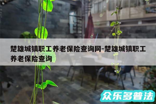 楚雄城镇职工养老保险查询网-楚雄城镇职工养老保险查询