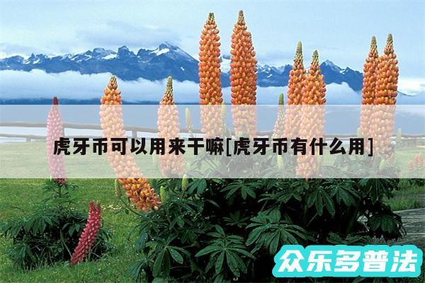 虎牙币可以用来干嘛及虎牙币有什么用