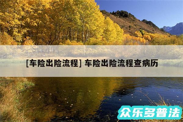 及车险出险流程 车险出险流程查病历