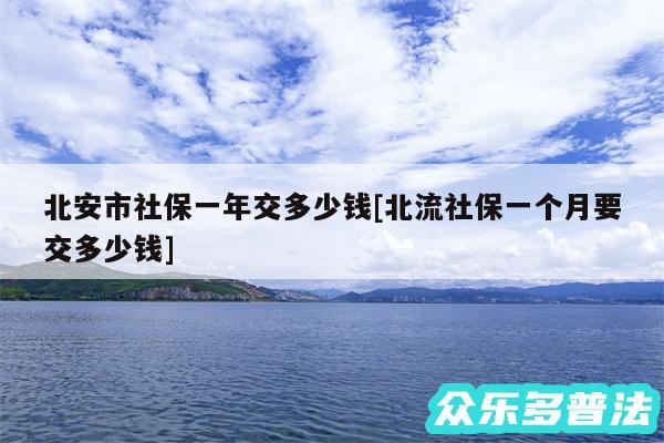 北安市社保一年交多少钱及北流社保一个月要交多少钱