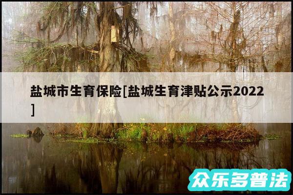 盐城市生育保险及盐城生育津贴公示2024