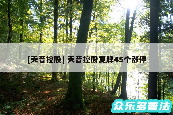 及天音控股 天音控股复牌45个涨停