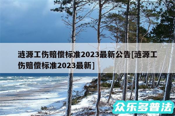 涟源工伤赔偿标准2024最新公告及涟源工伤赔偿标准2024最新