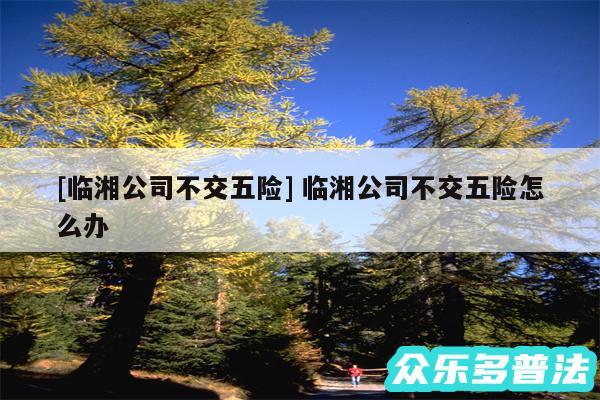 及临湘公司不交五险 临湘公司不交五险怎么办