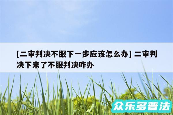 及二审判决不服下一步应该怎么办 二审判决下来了不服判决咋办