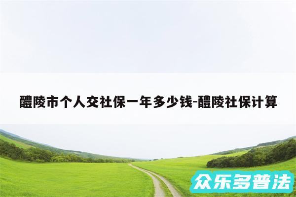 醴陵市个人交社保一年多少钱-醴陵社保计算