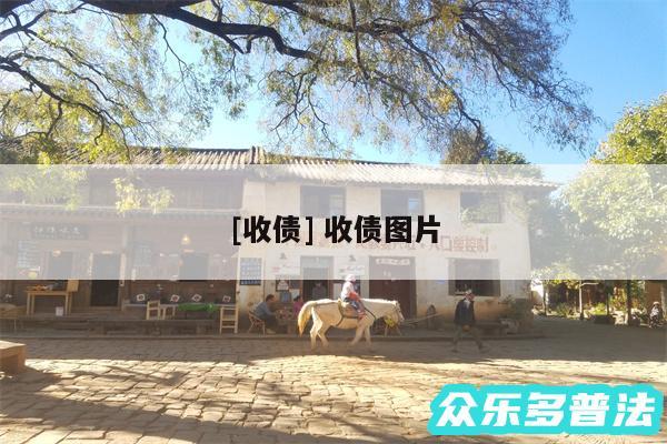 及收债 收债图片