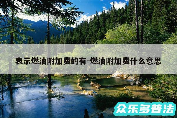 表示燃油附加费的有-燃油附加费什么意思