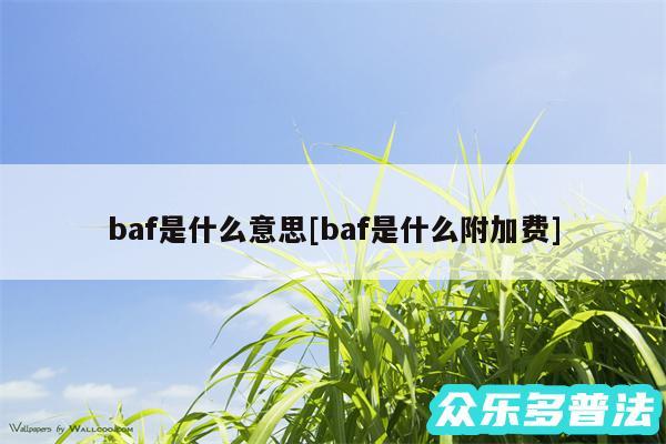 baf是什么意思及baf是什么附加费