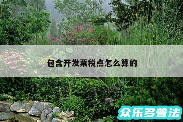 包含开发票税点怎么算的
