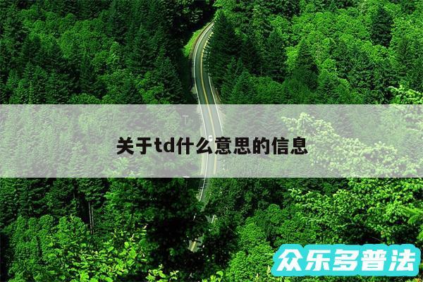 关于td什么意思的信息