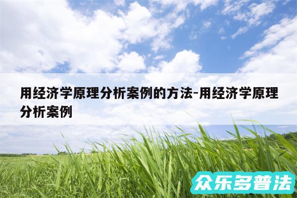 用经济学原理分析案例的方法-用经济学原理分析案例