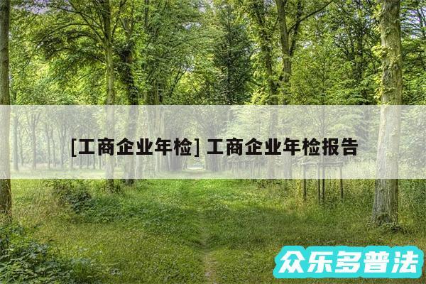 及工商企业年检 工商企业年检报告