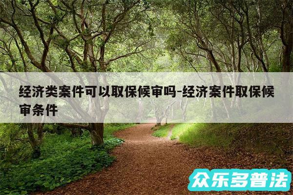 经济类案件可以取保候审吗-经济案件取保候审条件