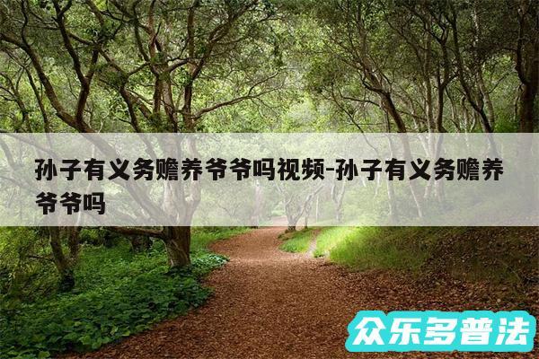 孙子有义务赡养爷爷吗视频-孙子有义务赡养爷爷吗