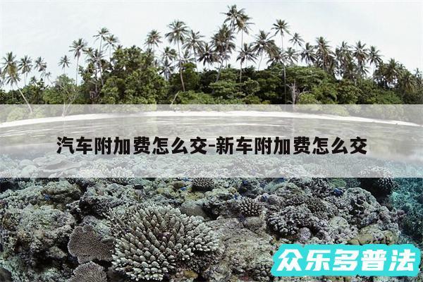 汽车附加费怎么交-新车附加费怎么交