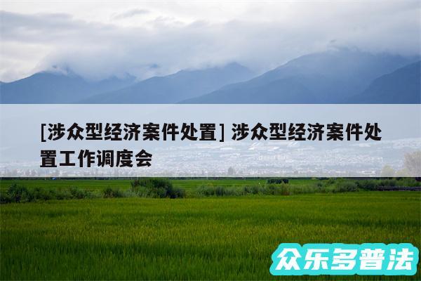 及涉众型经济案件处置 涉众型经济案件处置工作调度会