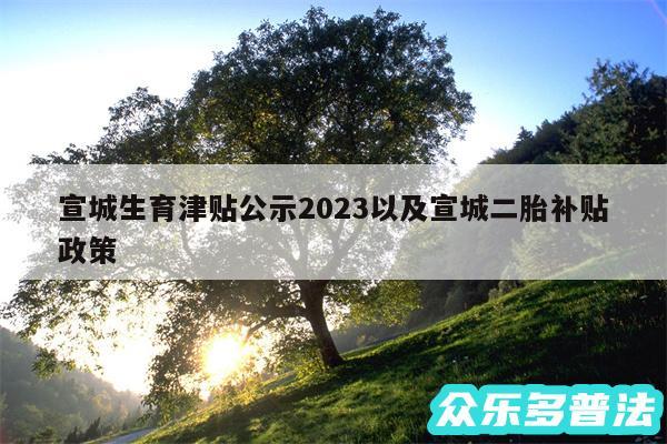 宣城生育津贴公示2024以及宣城二胎补贴政策