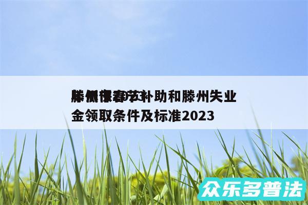 滕州市2024
年低保春节补助和滕州失业金领取条件及标准2024