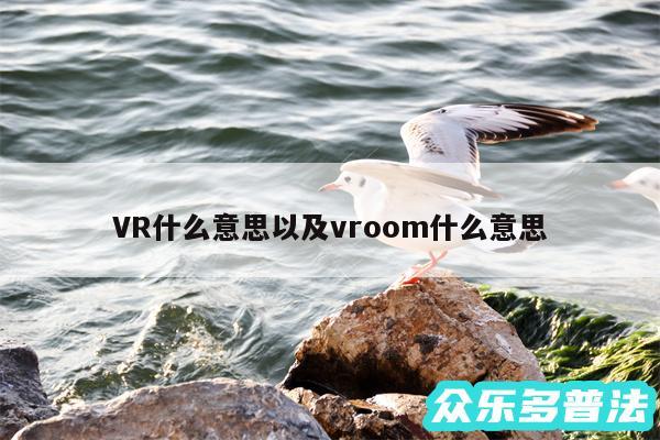 VR什么意思以及vroom什么意思