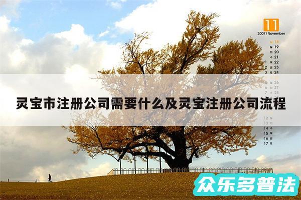 灵宝市注册公司需要什么及灵宝注册公司流程