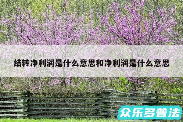 结转净利润是什么意思和净利润是什么意思