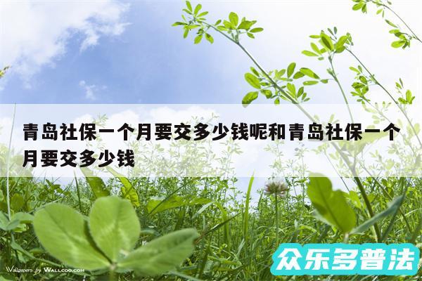 青岛社保一个月要交多少钱呢和青岛社保一个月要交多少钱