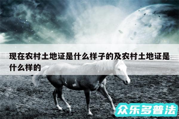 现在农村土地证是什么样子的及农村土地证是什么样的