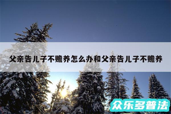 父亲告儿子不赡养怎么办和父亲告儿子不赡养